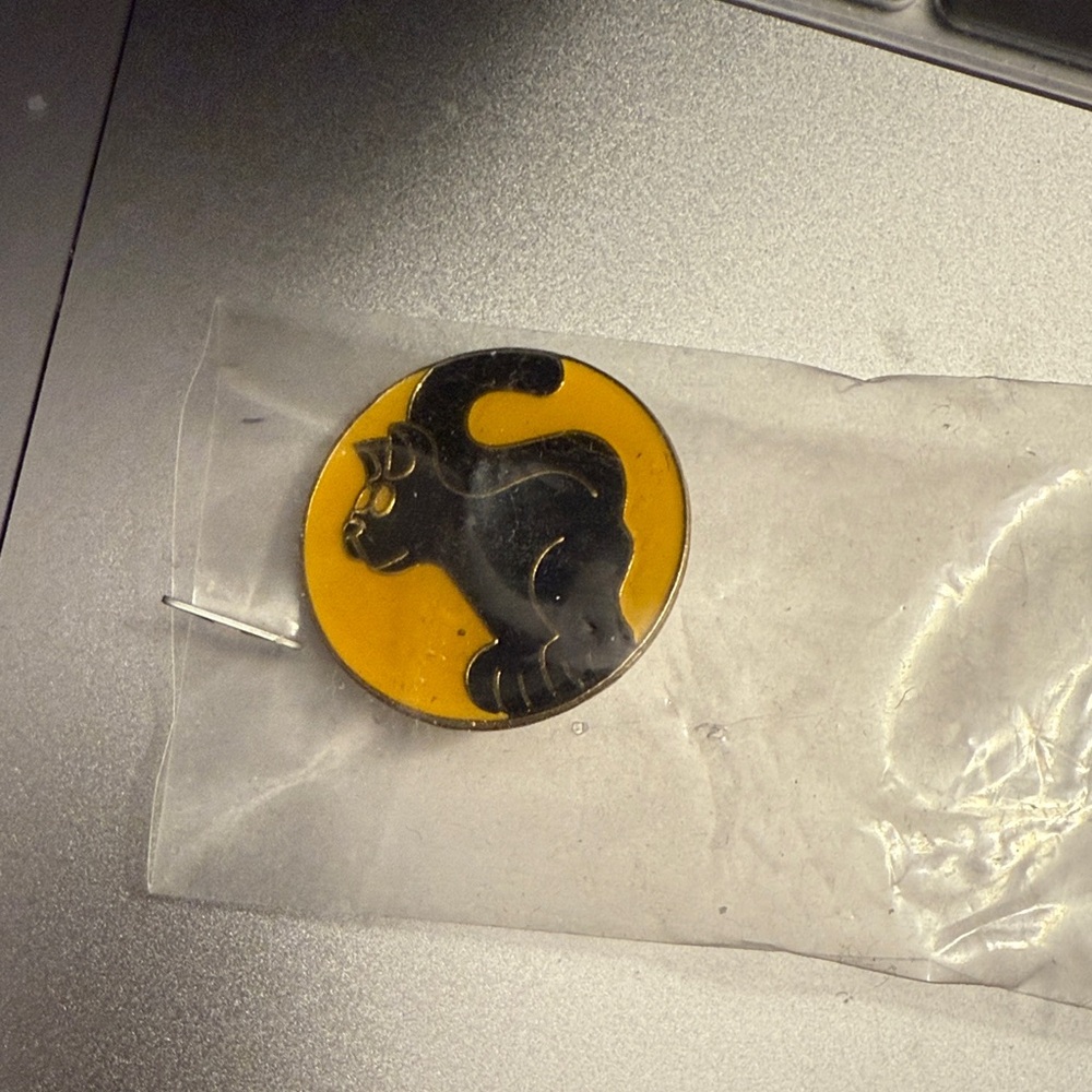 Black Cat Yellow New